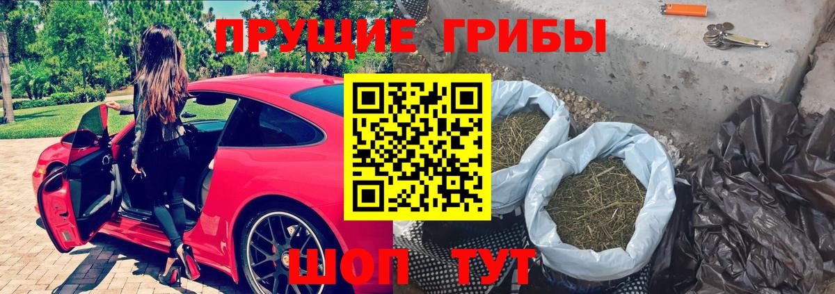 Казань  Галлюциногенные грибы GOLDEN TEACHER  Вход с VPN 