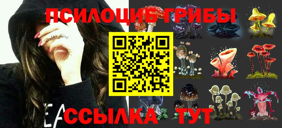 Галлюциногенные грибы GOLDEN TEACHER Казань